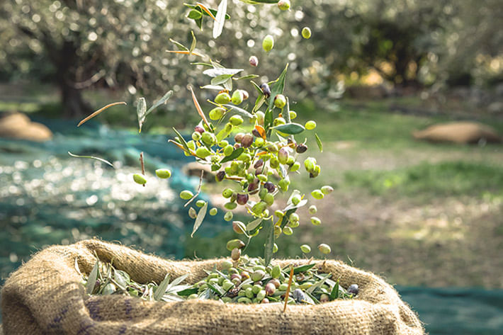 Olive-Taggiasche-Denocciolate-Sottolio-180g-OLIO-ROI