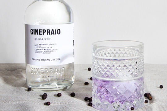 Gin-Ginepraio-Cocktail-Gin-Tonic-SL1