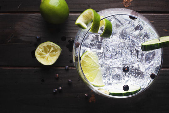Gin-Villa-Ascenti-Cocktail-Gin-Tonic-Lime-SL4